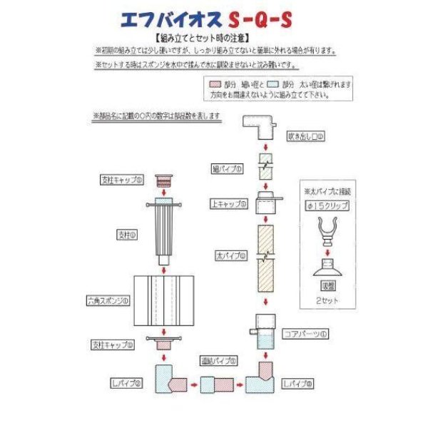 画像5: エフ・バイオス　S-Q-S (5)